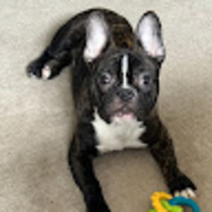 Meet your Posher, Marlene